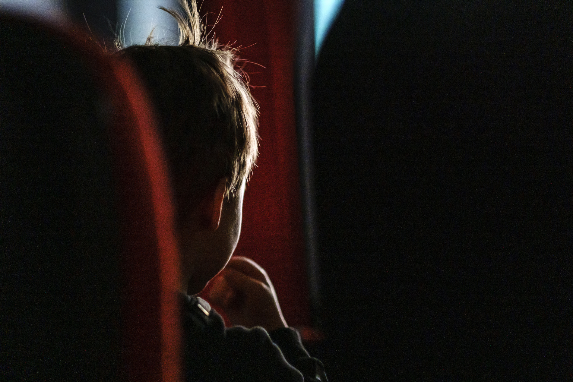 Ett barn bakifrån i en biosalong