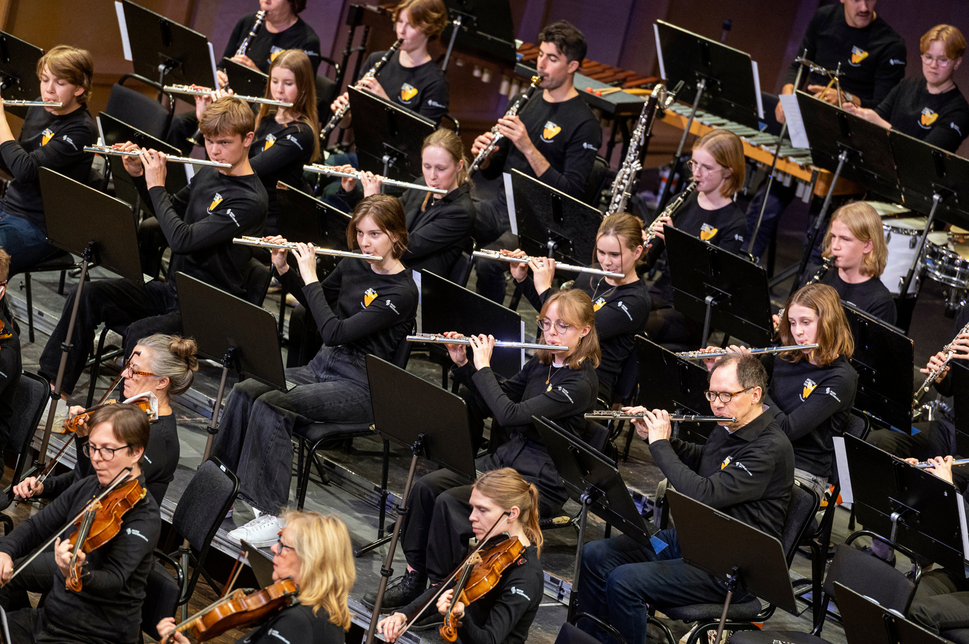 Elever och proffs spelar tillsammans i en gemensam symfoniorkester